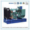 Generator with Ricardo Engine 30kVA 60kVA 100kVA 120kVA 150kVA 200kVA 250kVA Top Quality